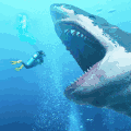 巨型鲨鱼视频大全_巨型鲨鱼3d